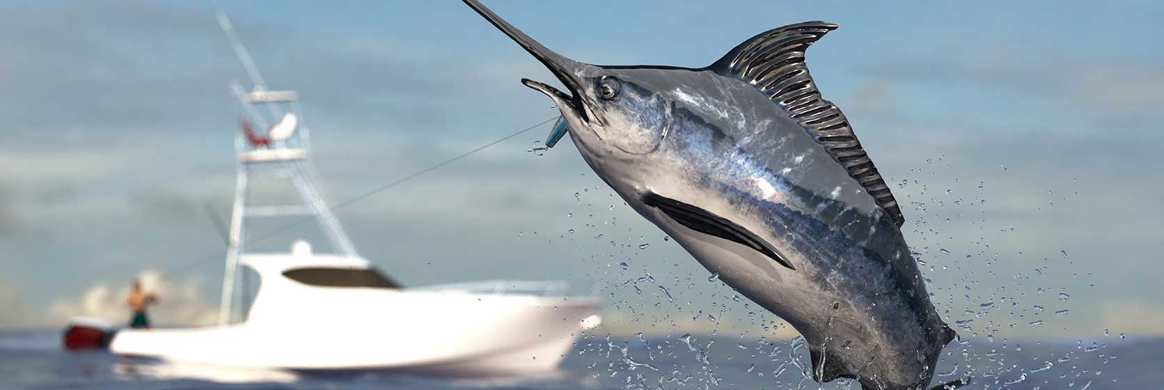 Shimano Launches New Rods to Conquer the Bluewater and Surf - Fishing Tackle  Retailer - The Business Magazine of the Sportfishing Industry